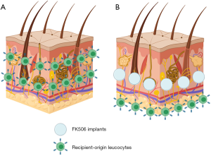 Click on image to zoom