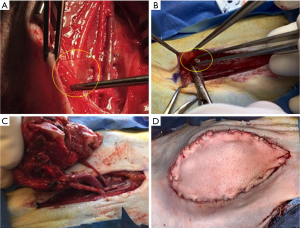 Click on image to zoom