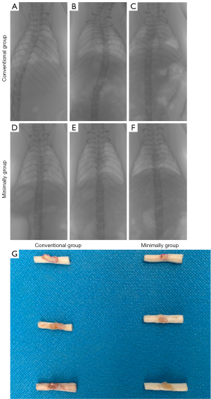 Click on image to zoom