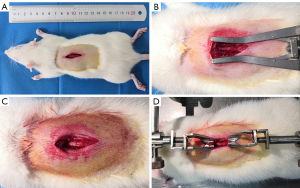 Click on image to zoom