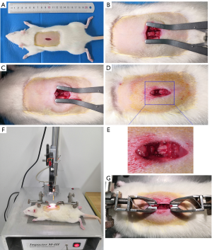 Click on image to zoom