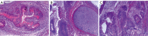 Click on image to zoom