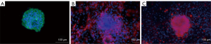 Click on image to zoom