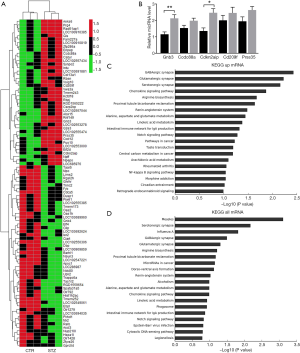 Click on image to zoom