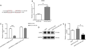 Click on image to zoom