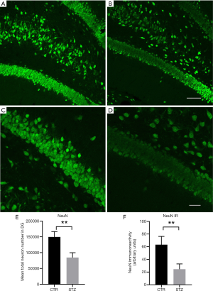 Click on image to zoom