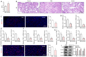 Click on image to zoom