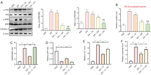 Click on image to zoom