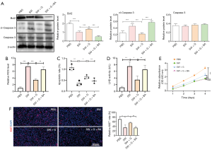 Click on image to zoom