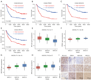 Click on image to zoom