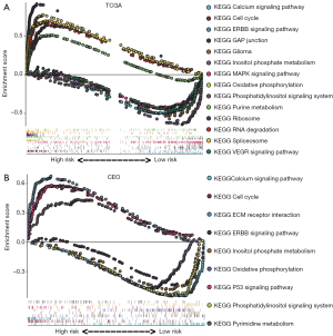 Click on image to zoom