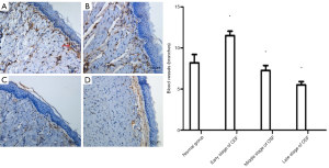 Click on image to zoom