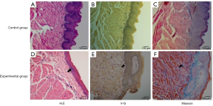 Click on image to zoom