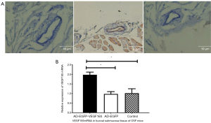 Click on image to zoom