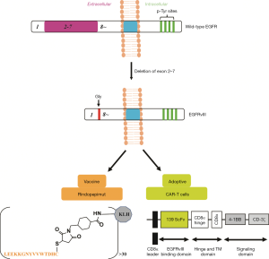 Click on image to zoom