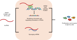 Click on image to zoom