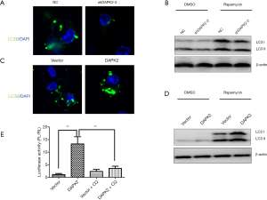 Click on image to zoom