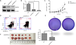 Click on image to zoom