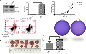 Click on image to zoom