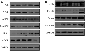 Click on image to zoom