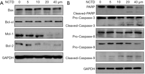 Click on image to zoom