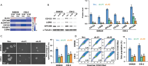 Click on image to zoom