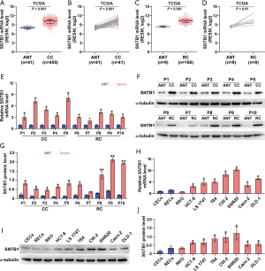 Click on image to zoom