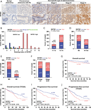 Click on image to zoom