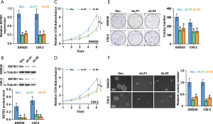 Click on image to zoom