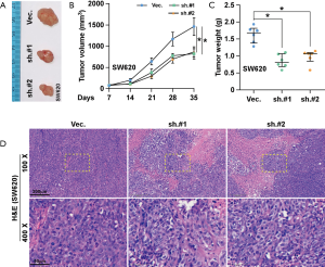 Click on image to zoom