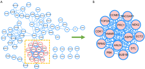 Click on image to zoom