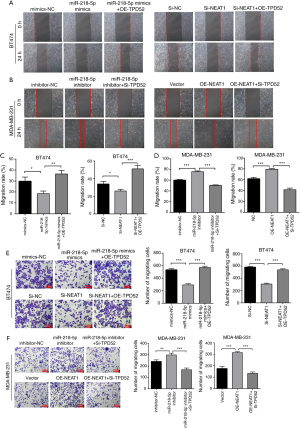 Click on image to zoom