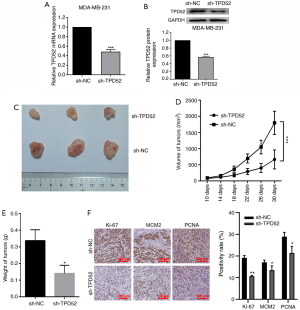 Click on image to zoom