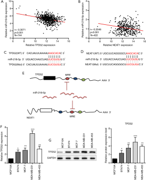 Click on image to zoom