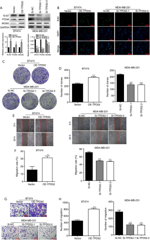 Click on image to zoom