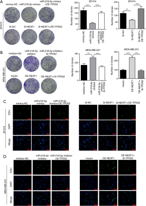 Click on image to zoom