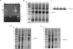 Click on image to zoom