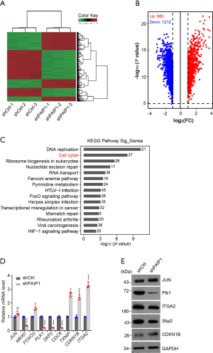 Click on image to zoom