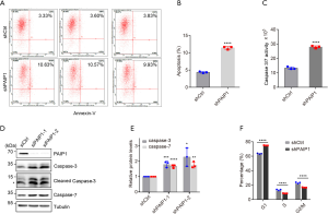 Click on image to zoom