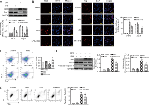 Click on image to zoom