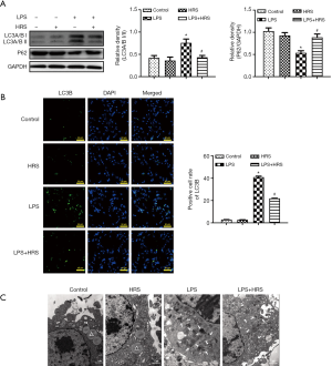 Click on image to zoom