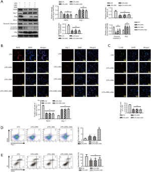 Click on image to zoom