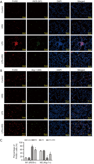 Click on image to zoom