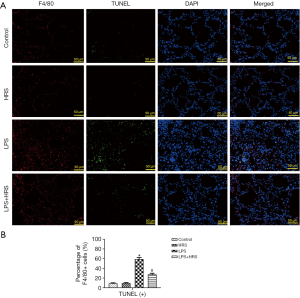 Click on image to zoom