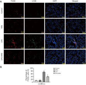 Click on image to zoom