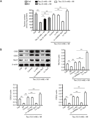 Click on image to zoom