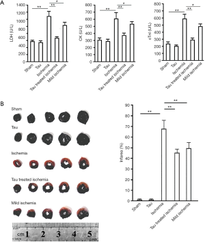 Click on image to zoom