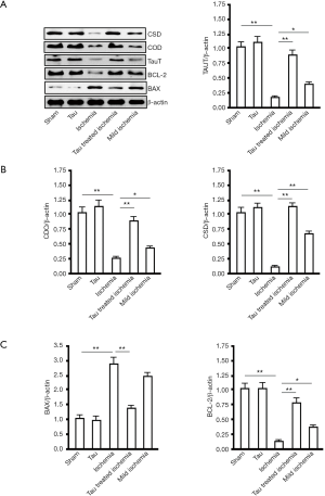 Click on image to zoom