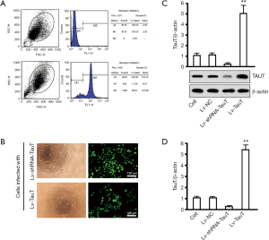 Click on image to zoom