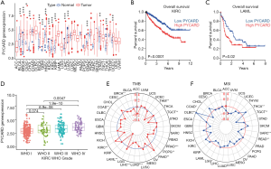 Click on image to zoom